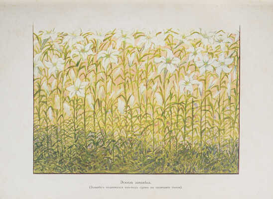 К.Р. [Константин Константинович, великий князь]. Царь Иудейский. Драма в четырех действиях и пяти картинах. СПб., 1914.